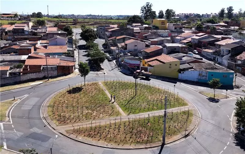 Valinhos deve investir em microflorestas urbanas?